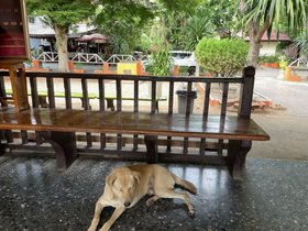 Train-to-Kwai-River-Bridge