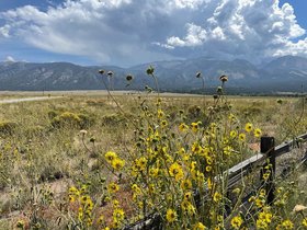 Great-Sand-Dunes-NP