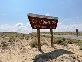 Bisti