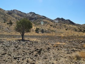 DrippingSpringsLaCeuva