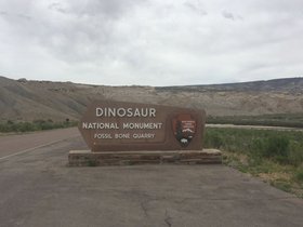 Dinosaur