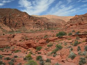 Red-Cliffs