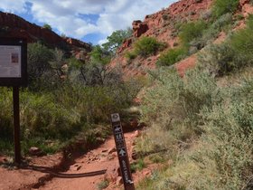 St-George-Owens-Loop